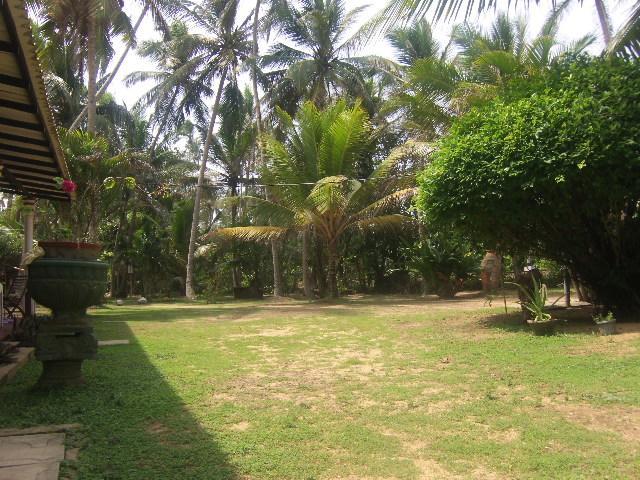 Hotel Sun And Sea Bentota Exterior photo